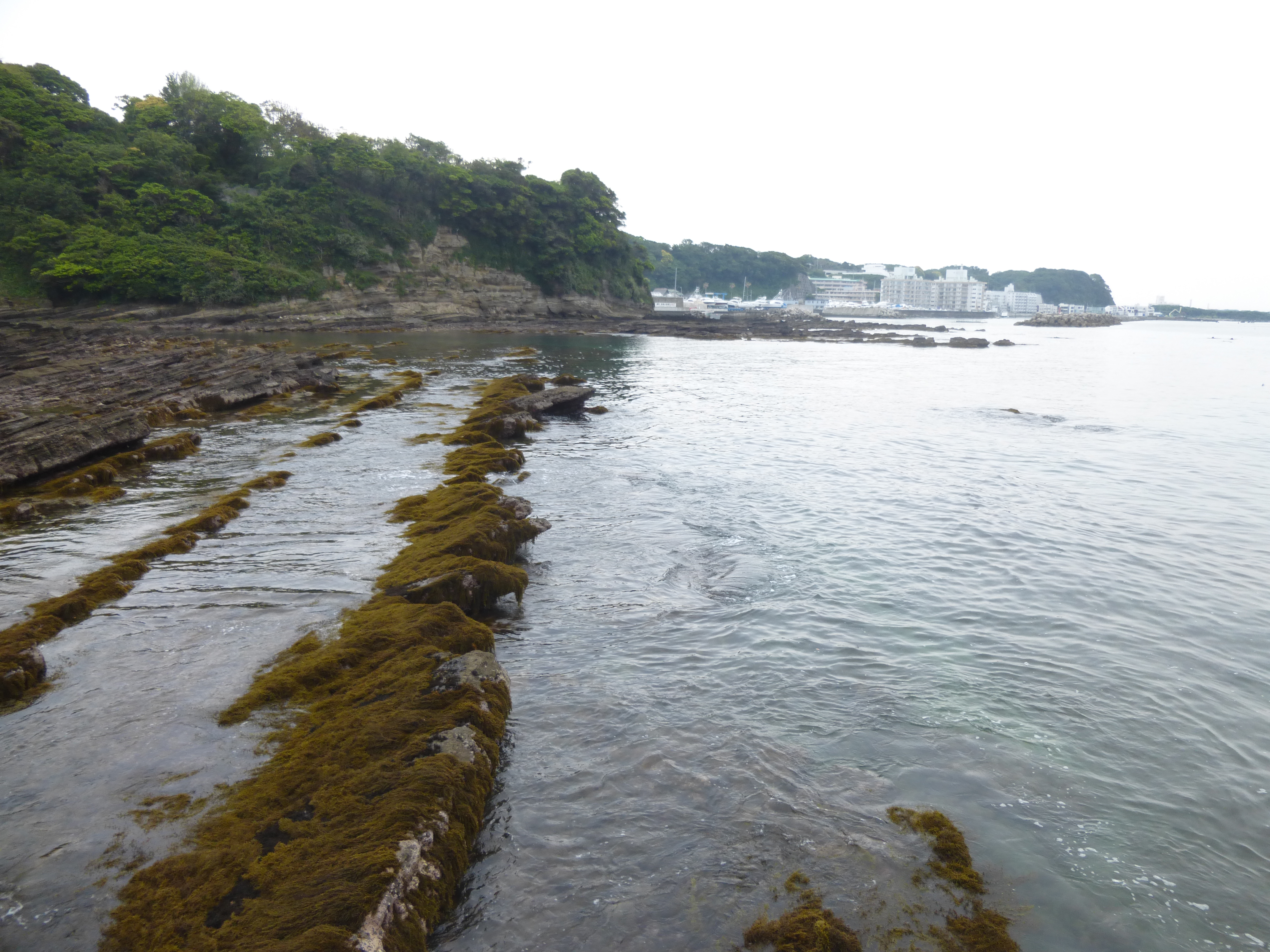 今週末の海況は