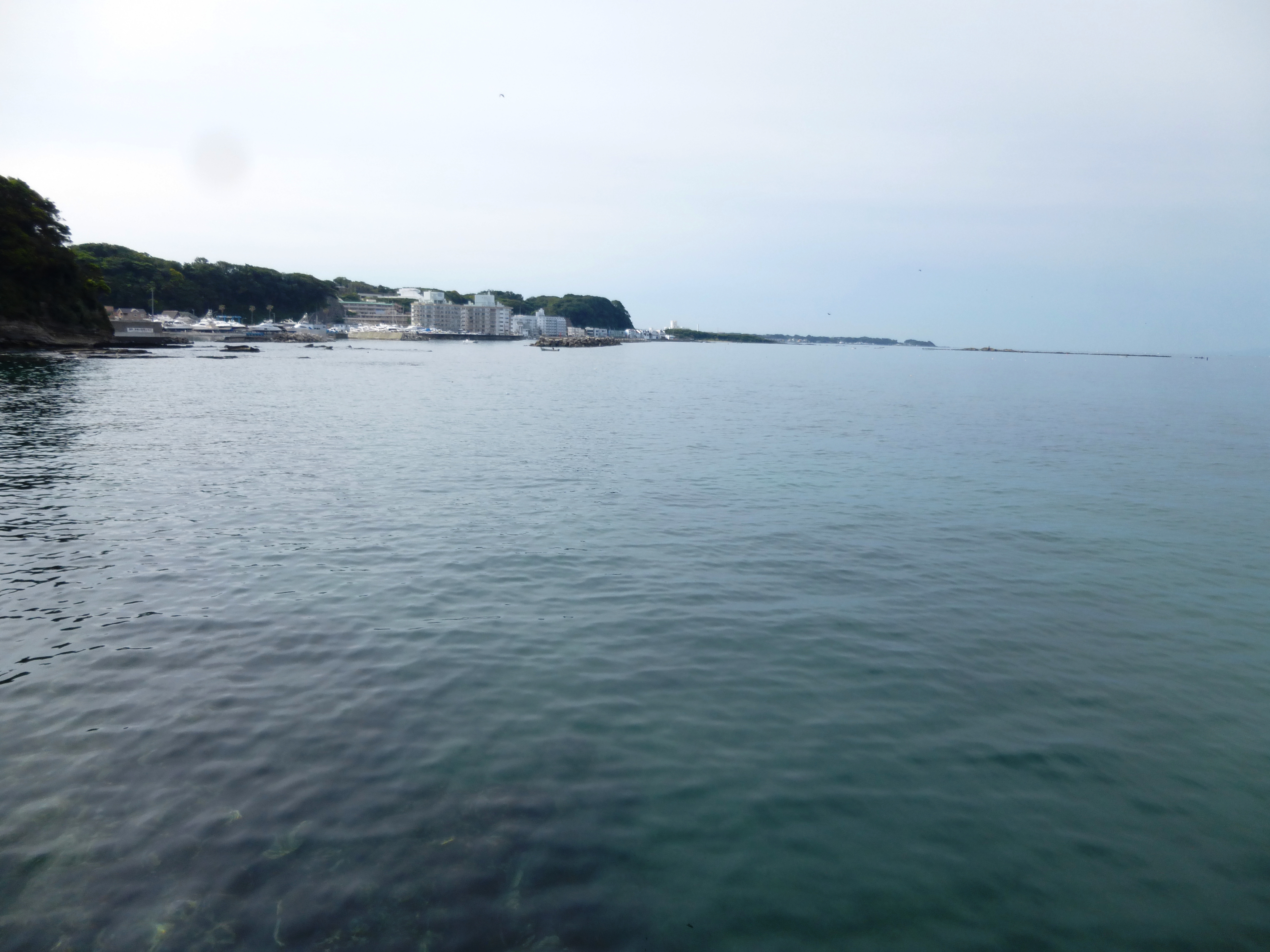 本日の海況