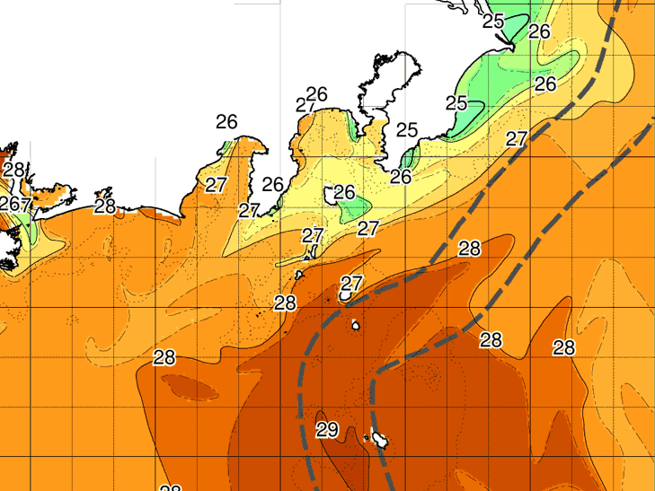 8月です