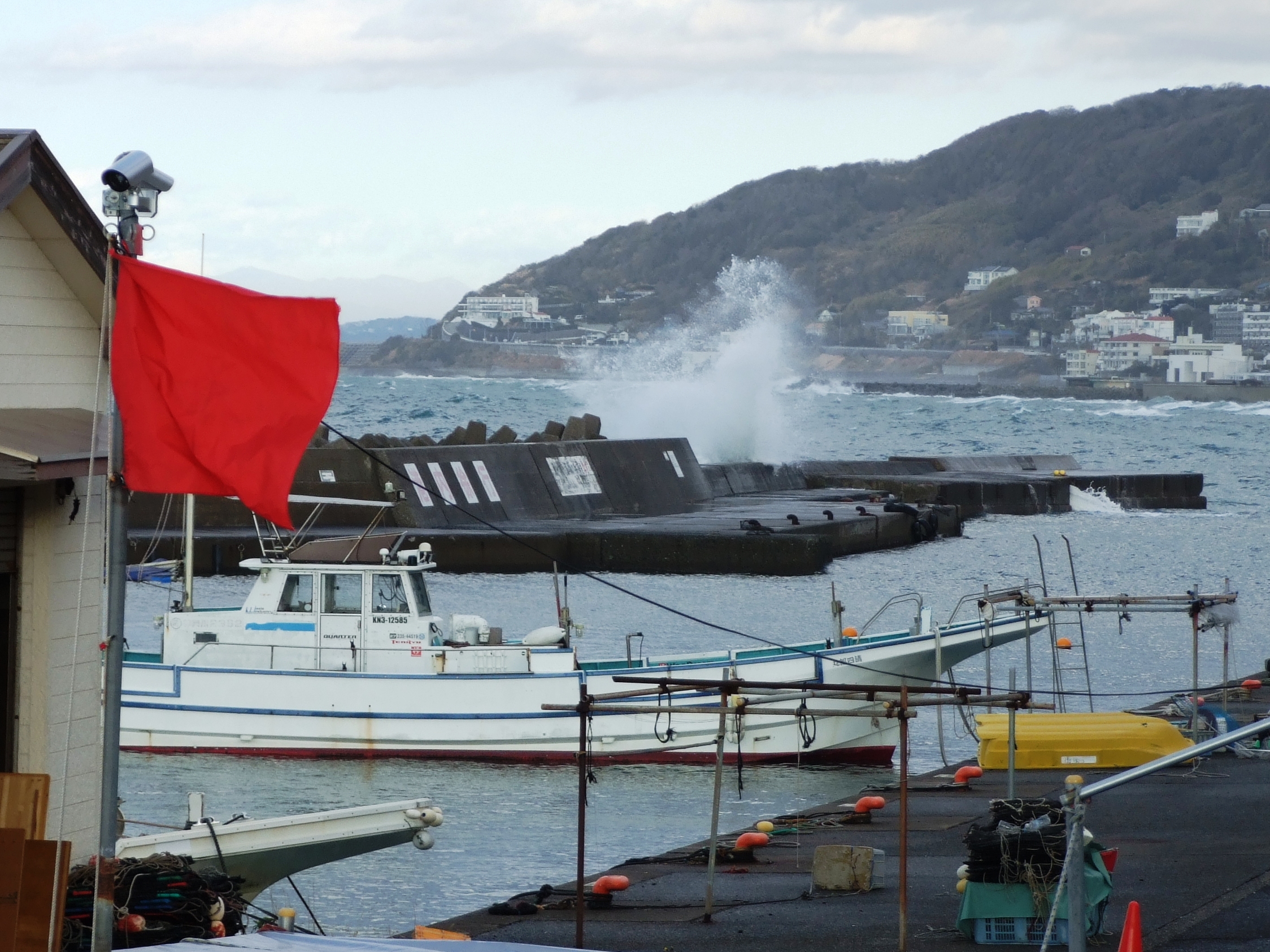 週末の出船状況