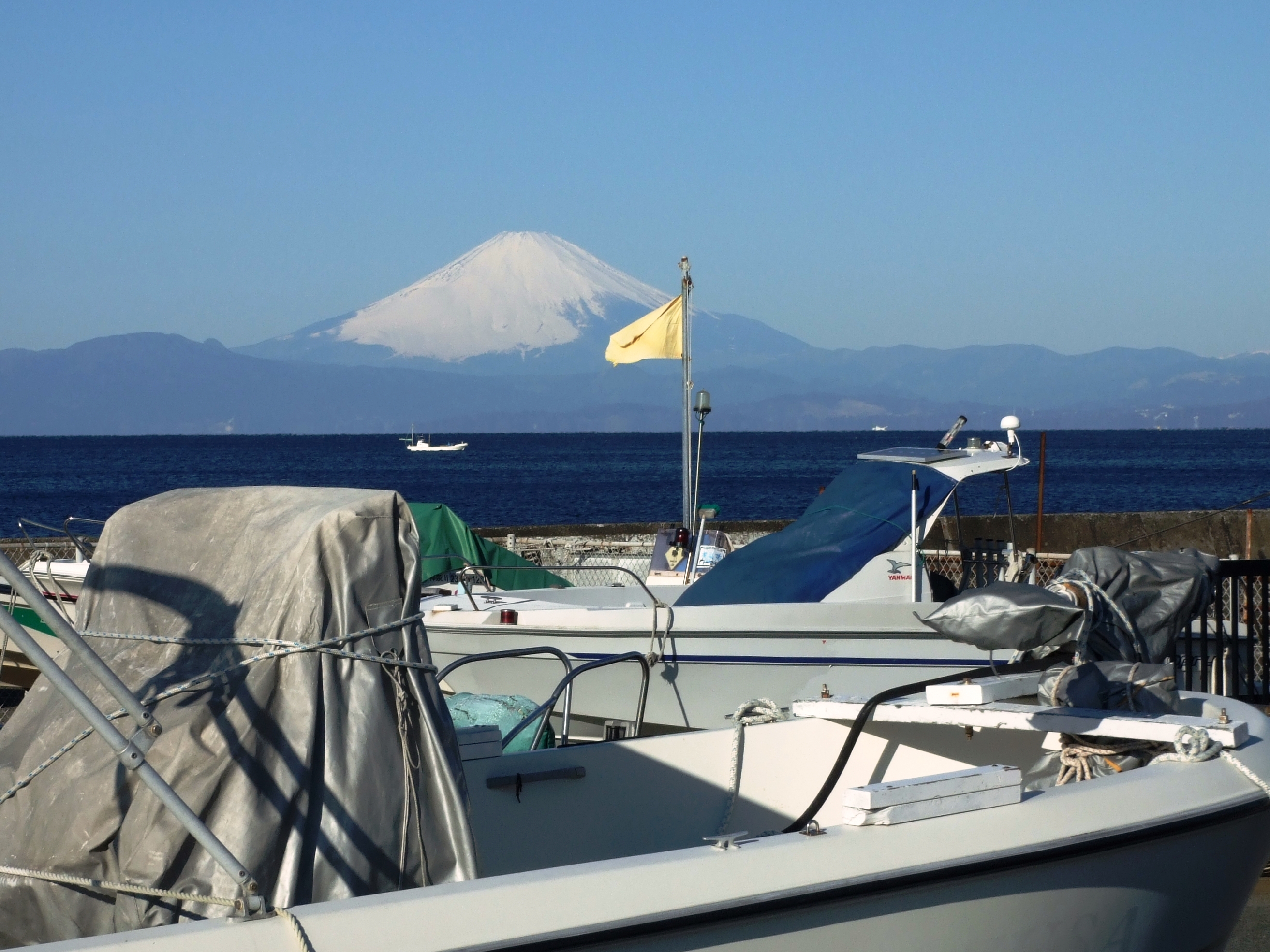 風が強かった