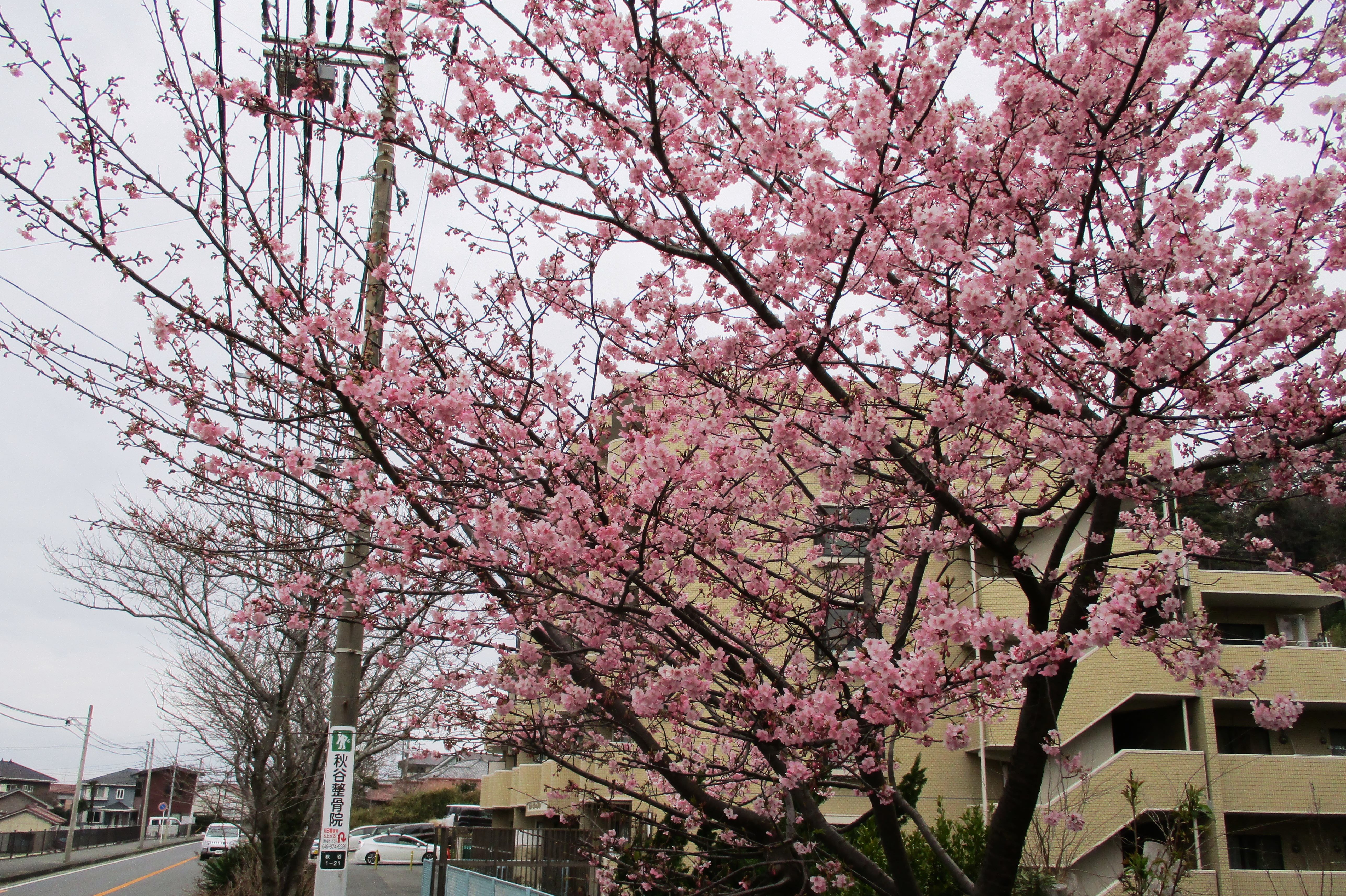 1日違いで・・