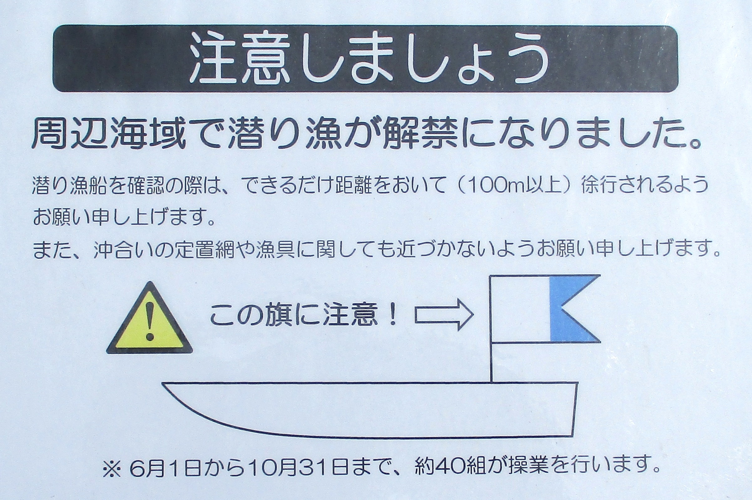 8月です