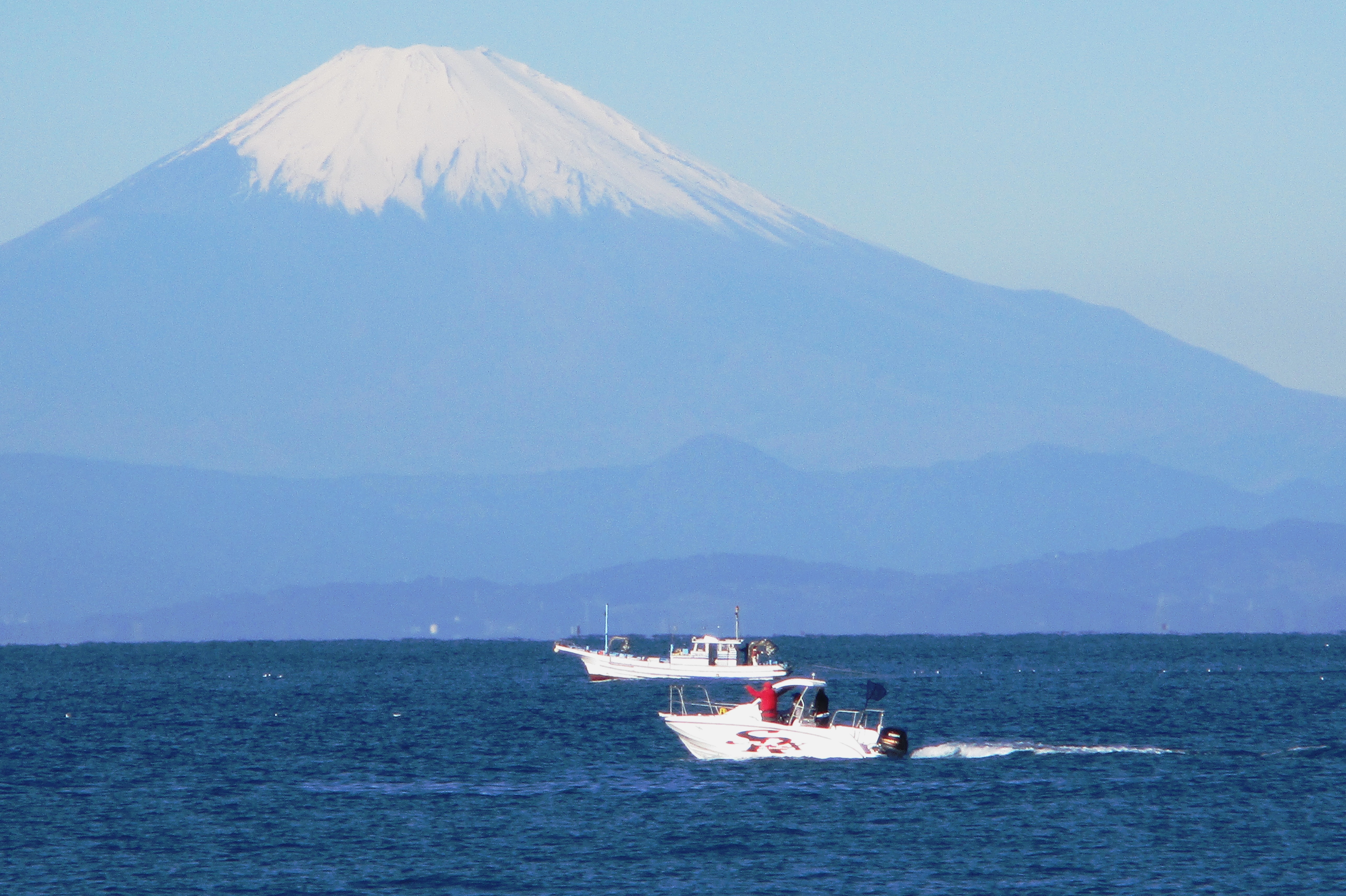 残念な日曜日